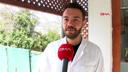 ANKARA Fındık son yolculuğuna uğurlanmak üzere Tokat'a gönderildi