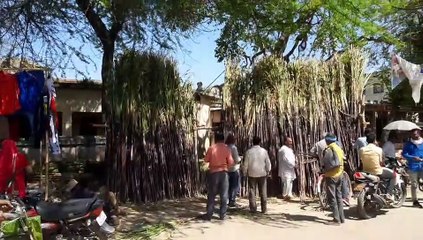 होली पर्व पर जमकर हुई  गन्ने की खरीद