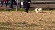 Royal Navy bomb disposal unit respond to a suspected 'bomb' found in Southsea - video by Johnny Black
