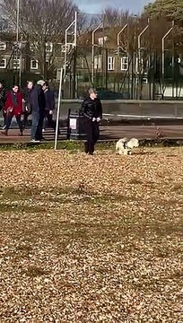 Royal Navy bomb disposal unit respond to a suspected 'bomb' found in Southsea - video by Johnny Black