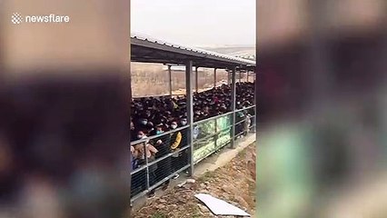 Hundreds of tourists visit Chinese scenic spot as entry fee suspended for International Women's Day
