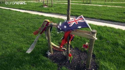 Familiares de vítimas do MH17 chegam a Amesterdão