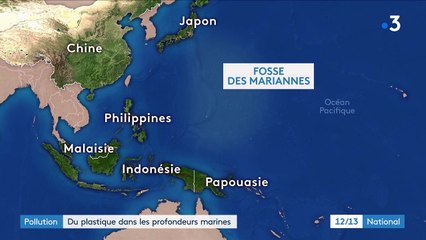 Océans : du plastique retrouvé dans des crustacés à 11 000 mètres de profondeur