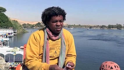 Crocodilos do Nilo são de estimação