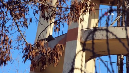 - İntihar için su deposuna çıkan adamı polis ikna etti