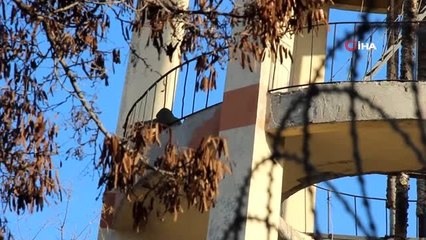 - İntihar için su deposuna çıkan adamı polis ikna etti