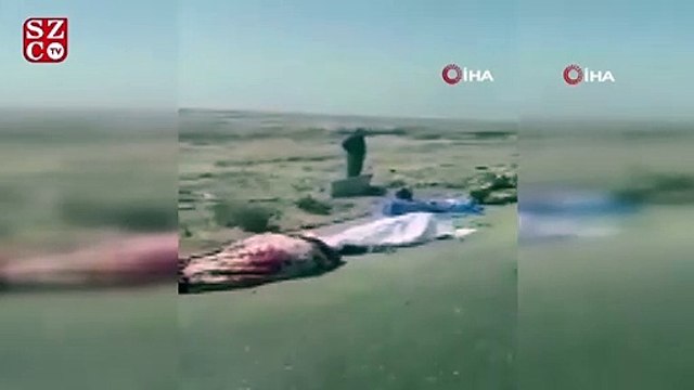 Irak’ta iki yakıt tankı yolcu otobüsü ile çarpıştı: 13 ölü