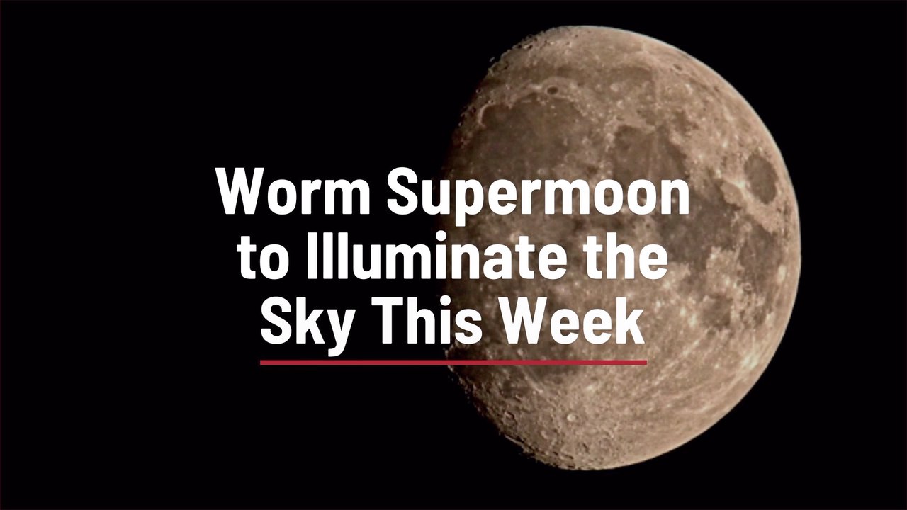 Watch The Worm Supermoon