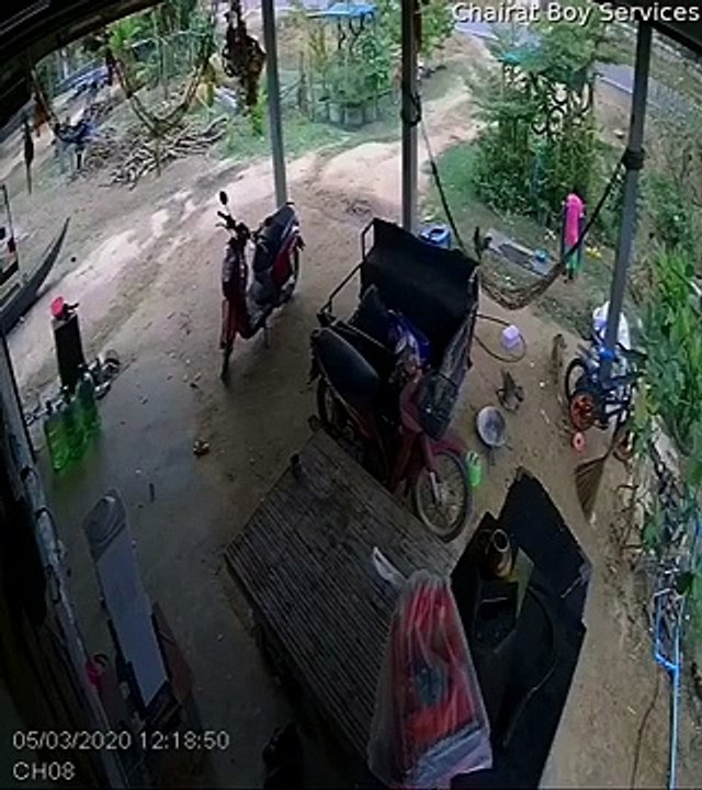 Ce gamin se coince la tête la première dans un baril... La honte