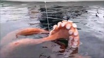Ce pecheur attrape un veritable monstre sous-marin