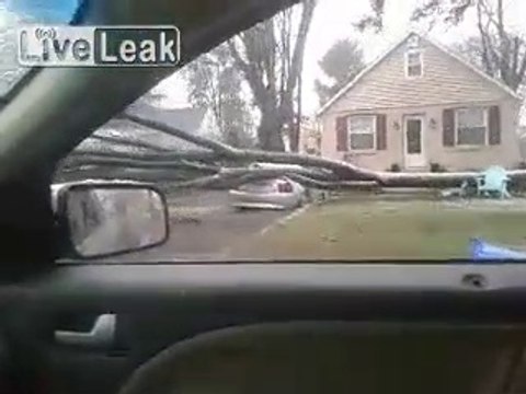 Ce propriétaire de Ford Mustang n'a vraiment pas de chance