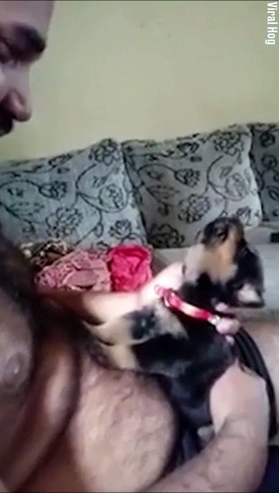 Il apprend à son chiot à hurler, trop mignon