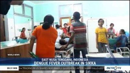 Dengue Fever Outbreak in Sikka