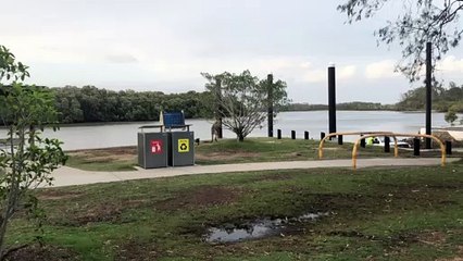 Tiny Barking Dog Chases Kangaroo