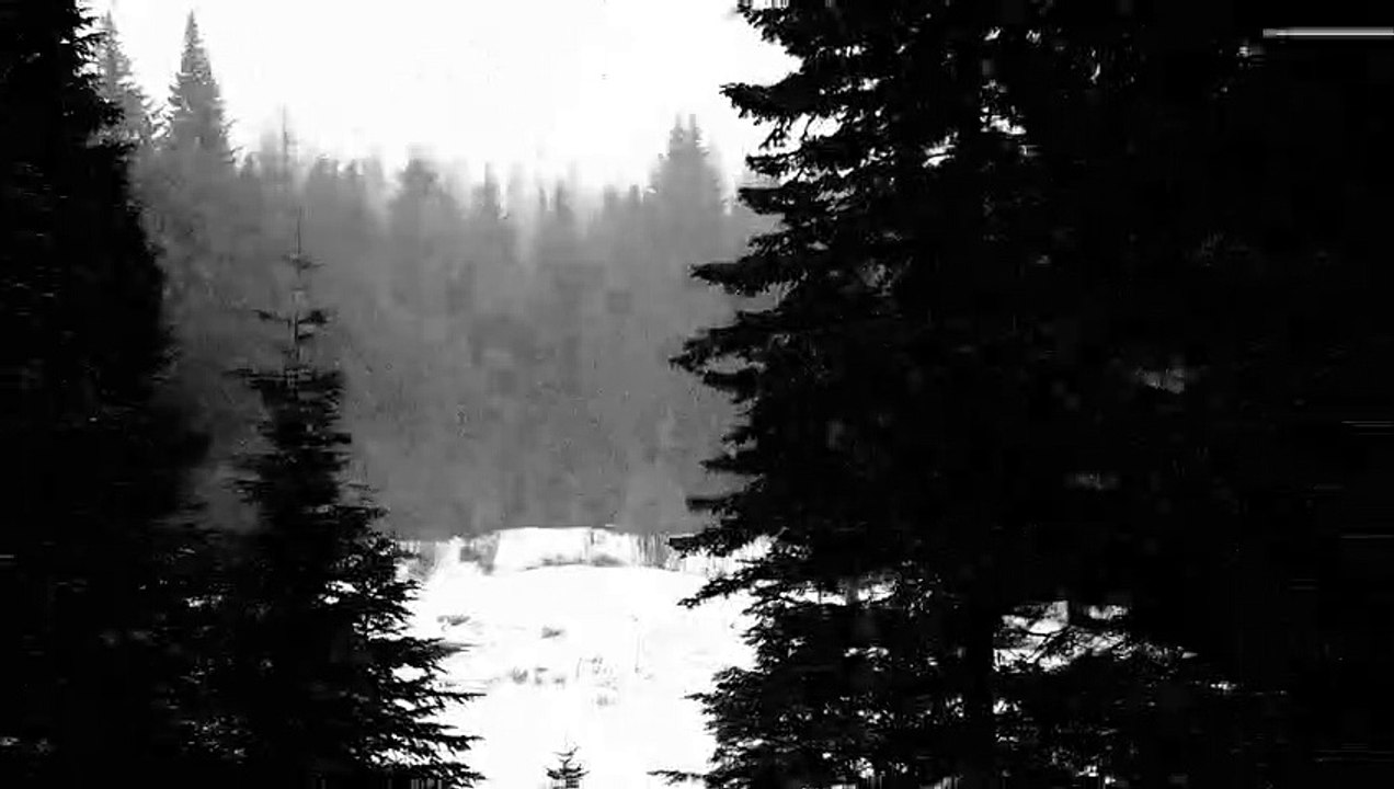 Snowy Afternoon 6_02