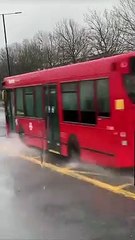 Ils veulent traverser la route dans le mauvais endroit