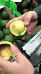 Des avocats uniques en Colombie