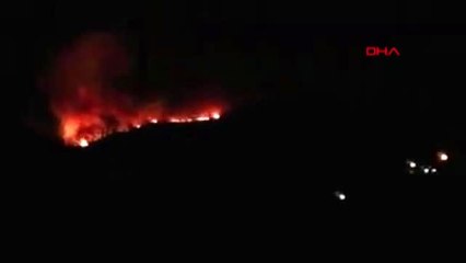 Trabzon'da 2 ayrı noktada orman yangını