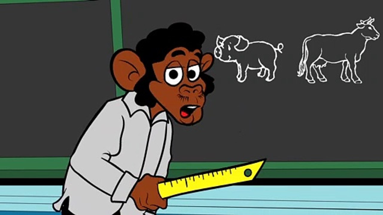 Que font les animaux ? - La blague du jour