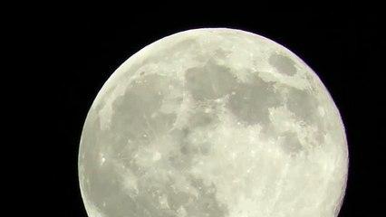 صوبوا أنظاركم الآن.. القمر البدر العملاق يزين سماء مصر والوطن العربى