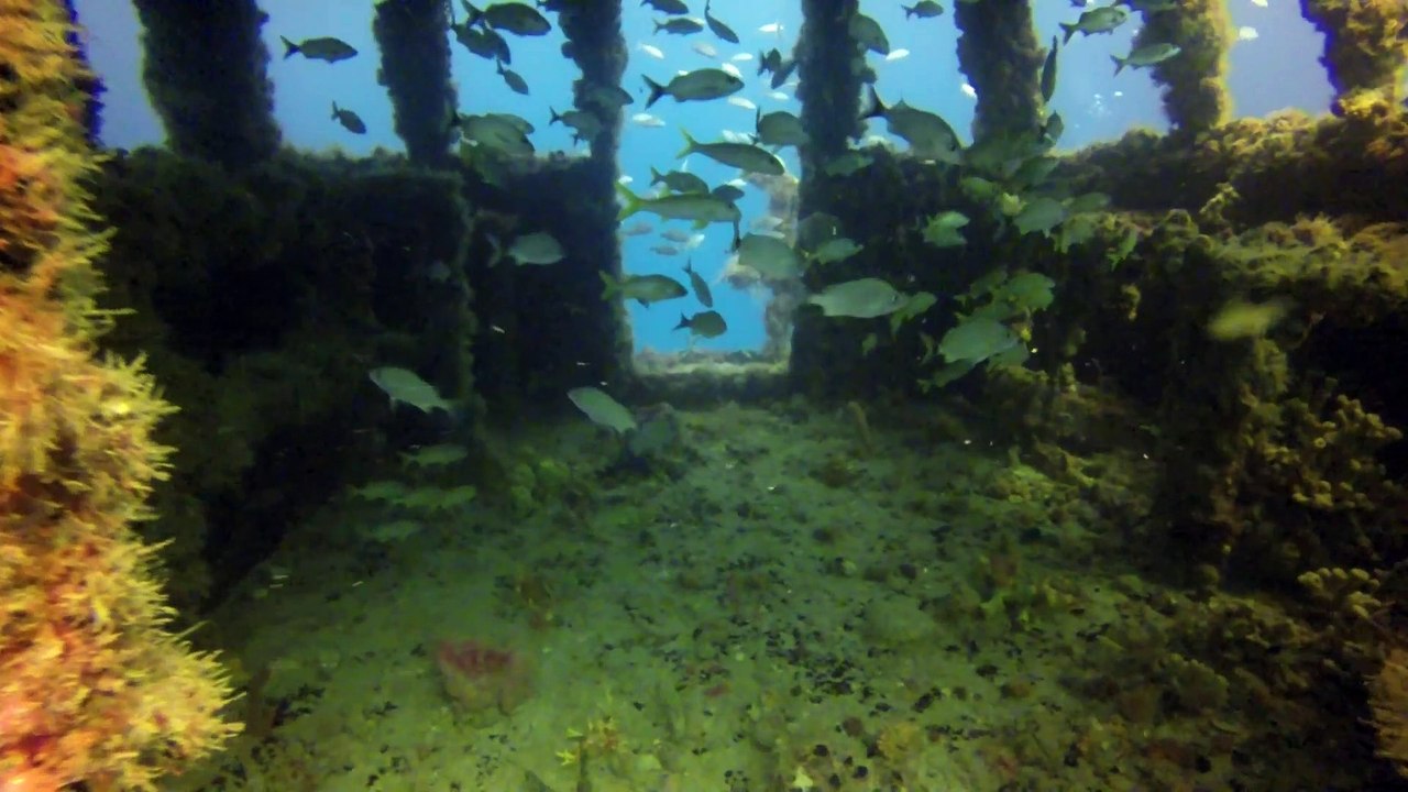 Tracey Wreck