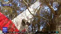 [이 시각 세계] 가정집 뒤뜰 나무에 걸린 '경비행기'