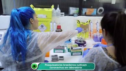 Pesquisadores brasileiros cultivam coronavírus em laboratório