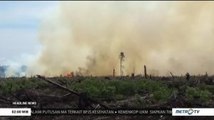 10 Hektare Lahan Gambut Kering di Aceh Terbakar