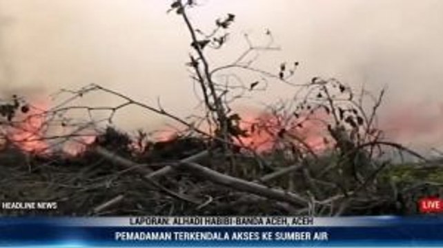 Puluhan Hektare Lahan Gambut di Aceh Diduga Sengaja Dibakar