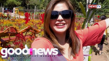 Good News: Anong panalo sa probinsya ng Rizal?