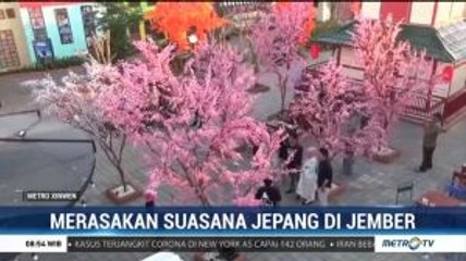Merasakan Suasana Jepang di Jember