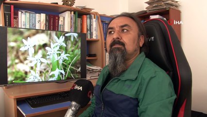 Ünlü botanikçi Hakkâri’de endemik bir bitki türü keşfetti