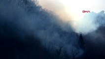 Trabzon'da gece 2 ayrı noktada çıkan orman yangınının gündüz görüntüleri