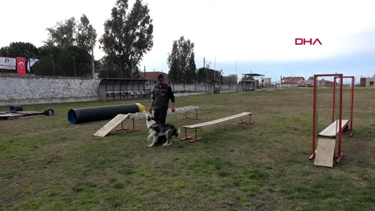 İZMİR K9 köpekleri, itaat ve doğa arama sınavlarıyla test edildi