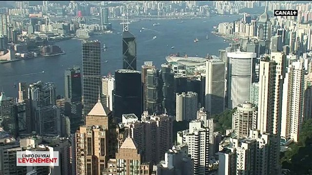 Virus - Les inquiétudes se multiplient autour des animaux domestiques : Peuvent-ils attraper le coronavirus et nous le transmettre ?