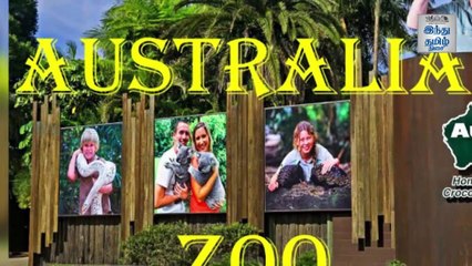 "முதலை மனிதர் ஸ்டீவ் இர்வின்! மறக்க முடியுமா?" - Stephen Robert Irwin, nicknamed "The Crocodile Hunter", was an Australian zookeeper, television
