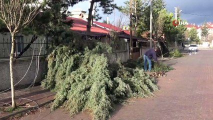 Bolu’da, etkili olan fırtına nedeniyle direkler ve ağaçlar devrildi