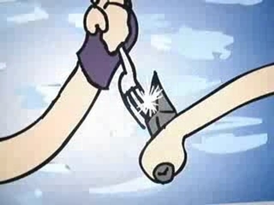 Stupid Sakura Project