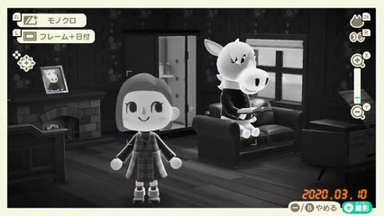 Animal Crossing New Horizons - Cadres et filtres photo