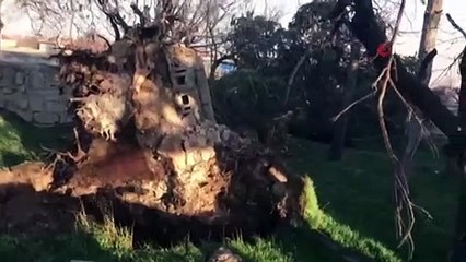 Şiddetli Fırtına Minareleri Devirdi, Çatıları Uçurdu