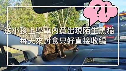 petmao_curation-petsmao.nownews-copy1-20200310-09:30