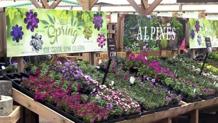 Woodworks Garden Centre Café Named Café Of The Year!