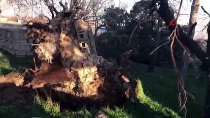 Şiddetli fırtına minareleri devirdi, çatıları uçurdu