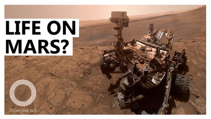 Curiosity rover spots potential clue for life on early Mars