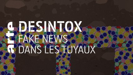 Fake news dans les tuyaux | 09/03/2020 | Désintox | ARTE