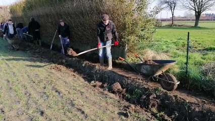 Réhabilitation du sentier de Gibraltar, entre Néchin et Leers-France