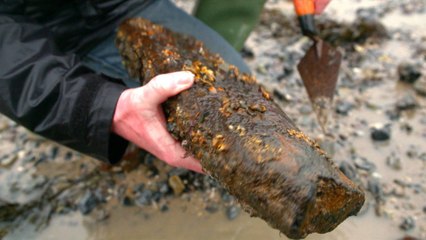 Changing sea levels: UK scientists look for prehistoric evidence