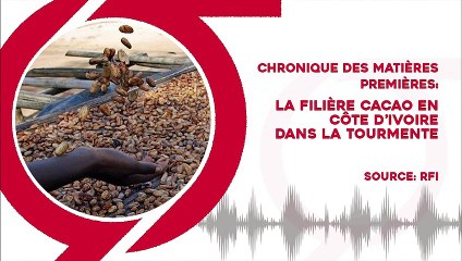 Chronique des matières premières: La filière cacao en Côte d’Ivoire dans la tourmente
