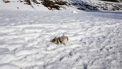 Première fois dans la neige