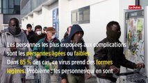 Dix informations rassurantes à propos du coronavirus